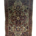 585 3009 BAKHTIARI RUG